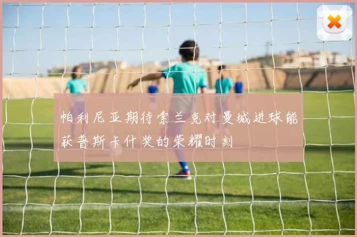 帕利尼亚期待索兰克对曼城进球能获普斯卡什奖的荣耀时刻